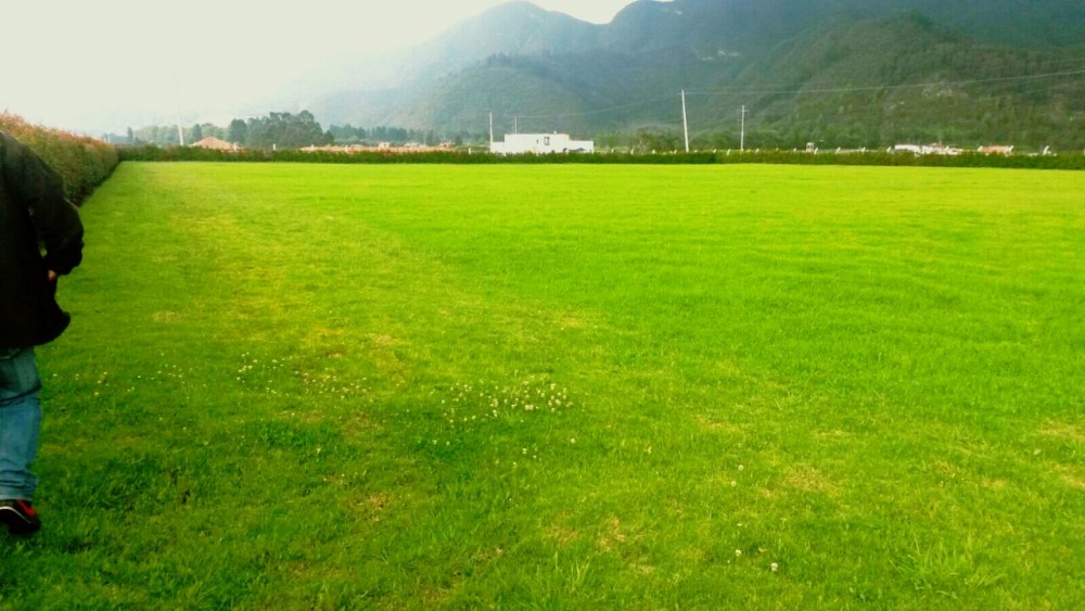 Foto COLEGIO BILINGÜE PIO XII CAMPESTRE COTA
